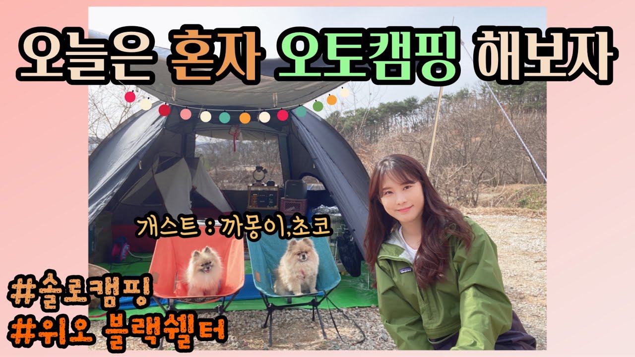 애견동반 캠핑 : 솔로 오토캠핑 해보기 ( #위오블랙쉘터 피칭영상)