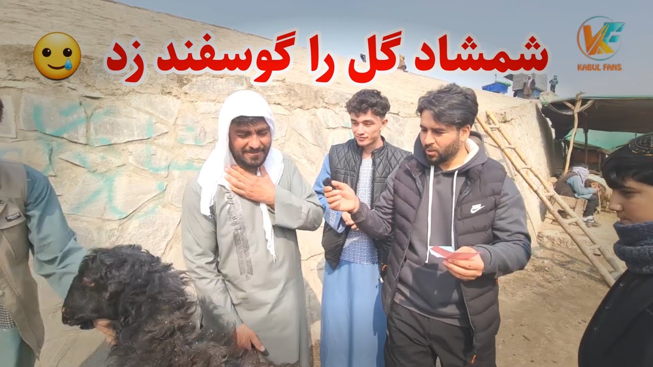 امروز رافع جان هموطنان ما را سورپرایز نمودن 😇