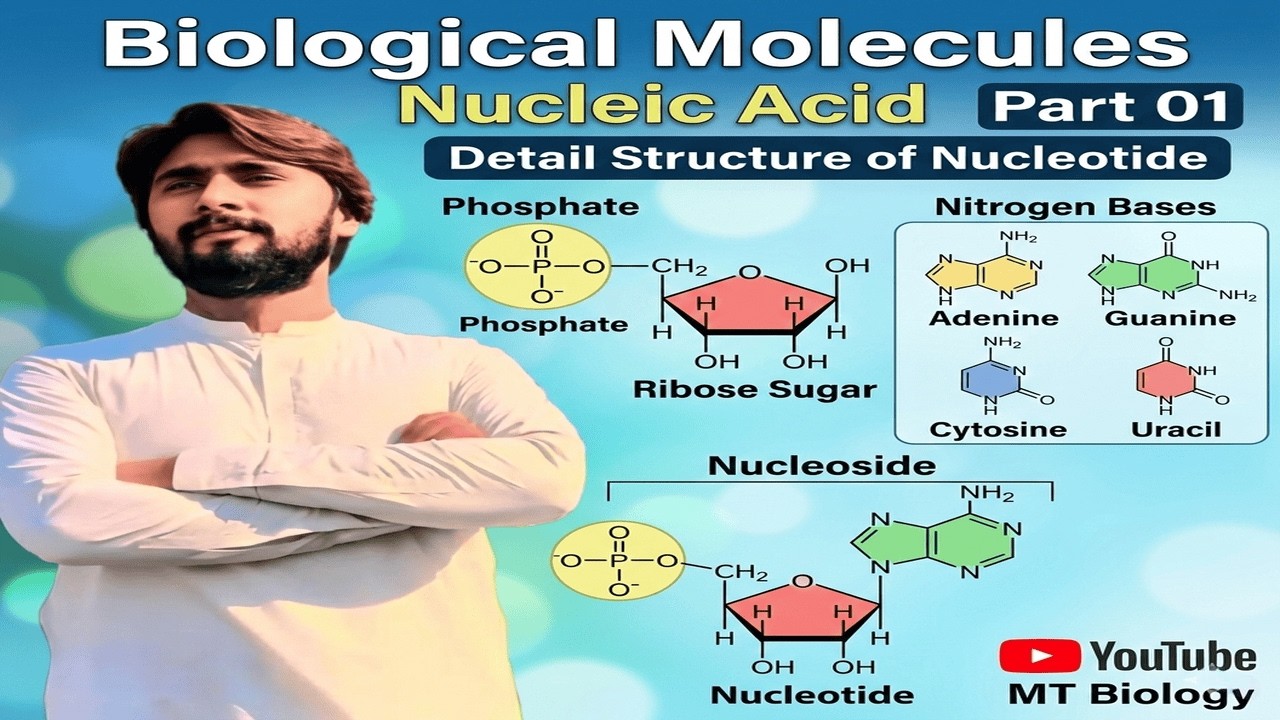 16. NUCLEIC ACID PART 01- BIOLOGICAL MOLECULES