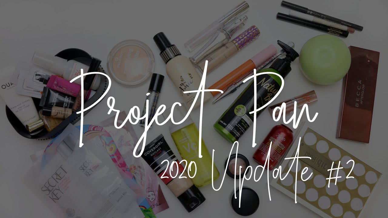 Project Pan 2020 - Update 2 #TeamProjectPan2020