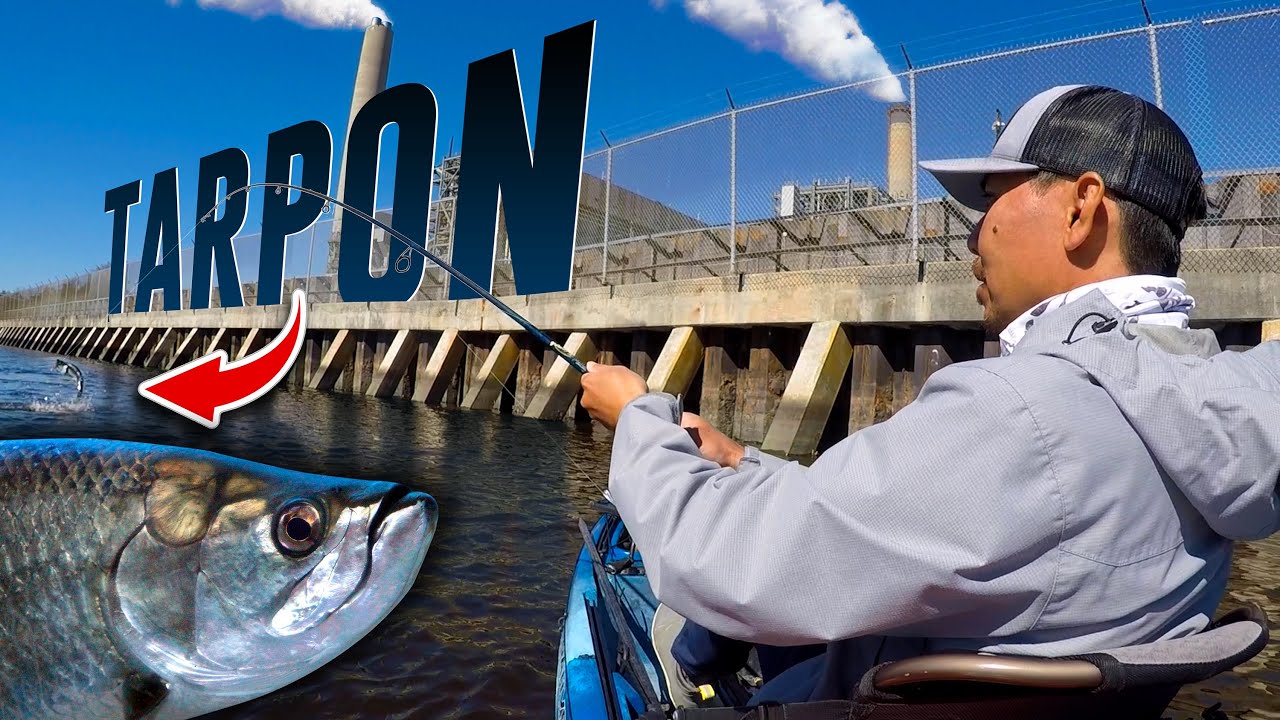 POWER PLANT TARPON owned me! Winter Tarpon - Jacksonville, FL
