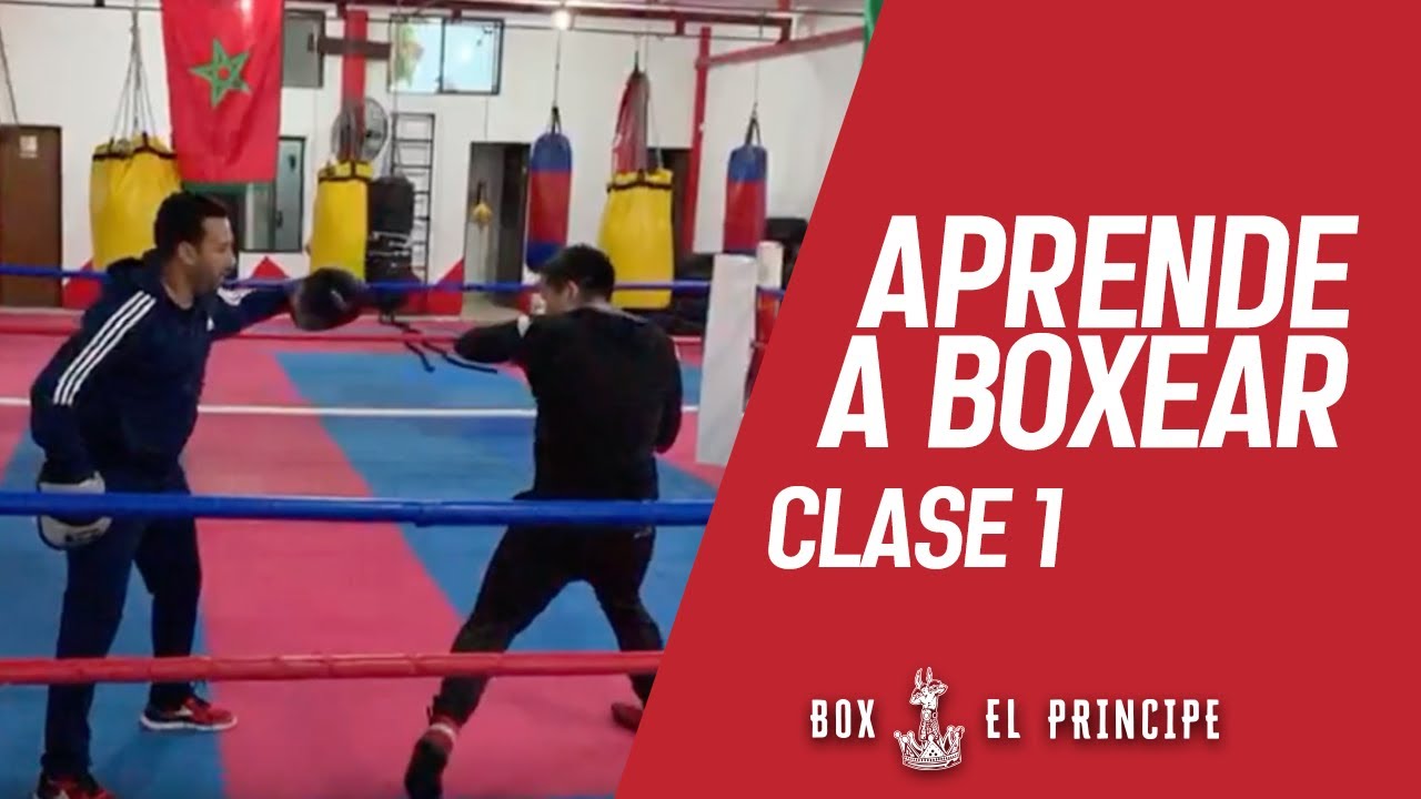 Box el Principe : Aprender boxeo clase(1)