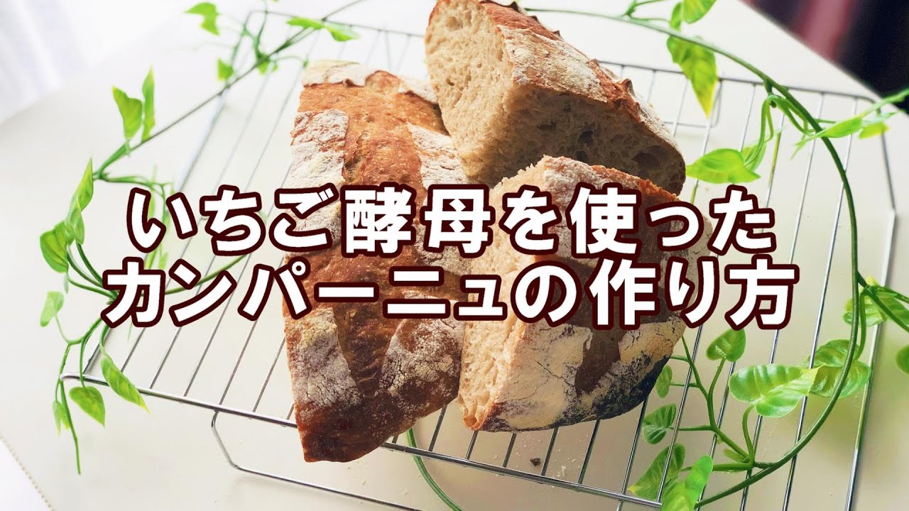 【いちご天然酵母】いちご天然酵母を使ったカンパーニュの作り方 | パン日和