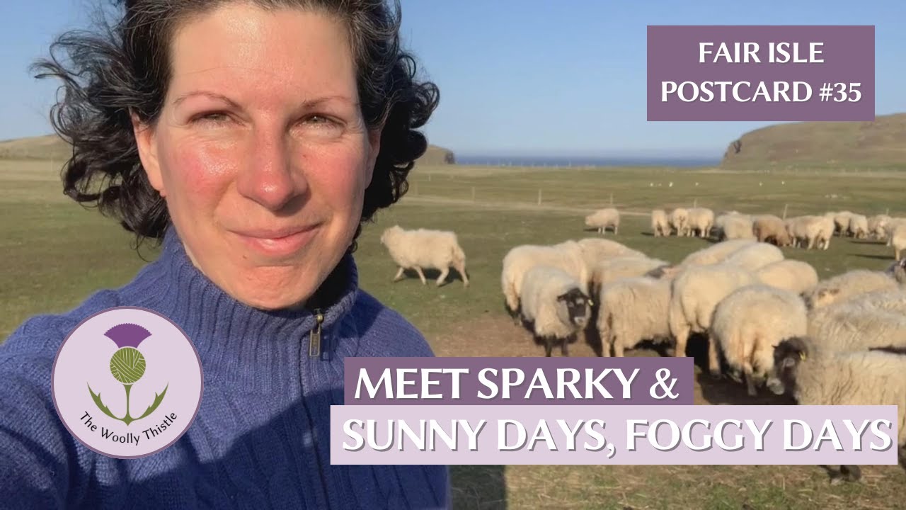 Fair Isle Poscard #35: Meet Sparky & Sunny Days, Foggy Days