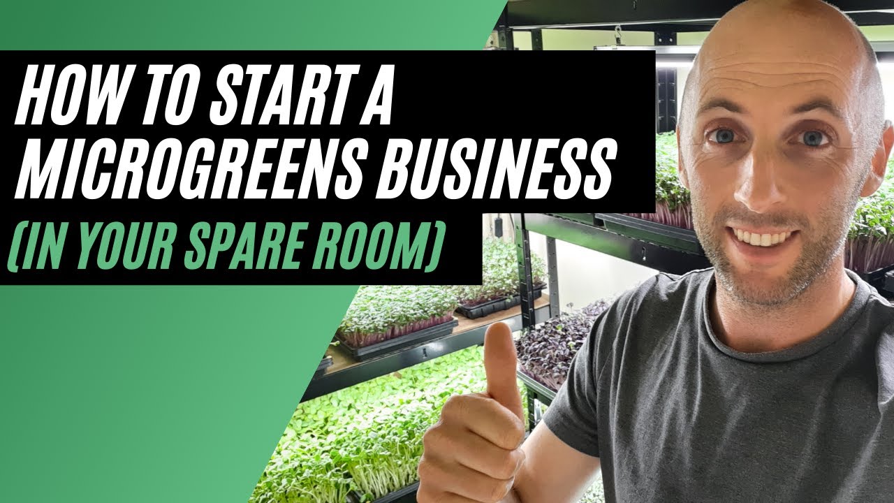 How To Start A Microgreens Business (In Your Spare Room)