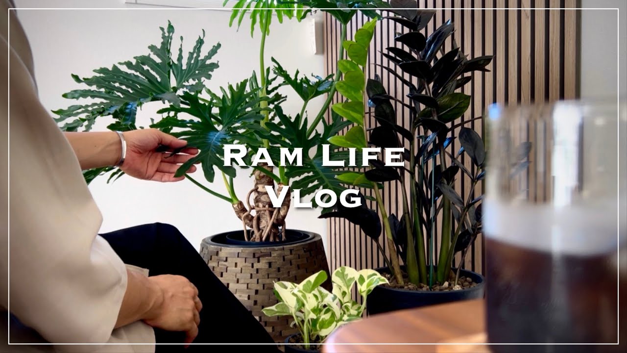 植物とコーヒーのある日常/アカツカFFCパビリオンで植物散策/観葉植物/おうちカフェ