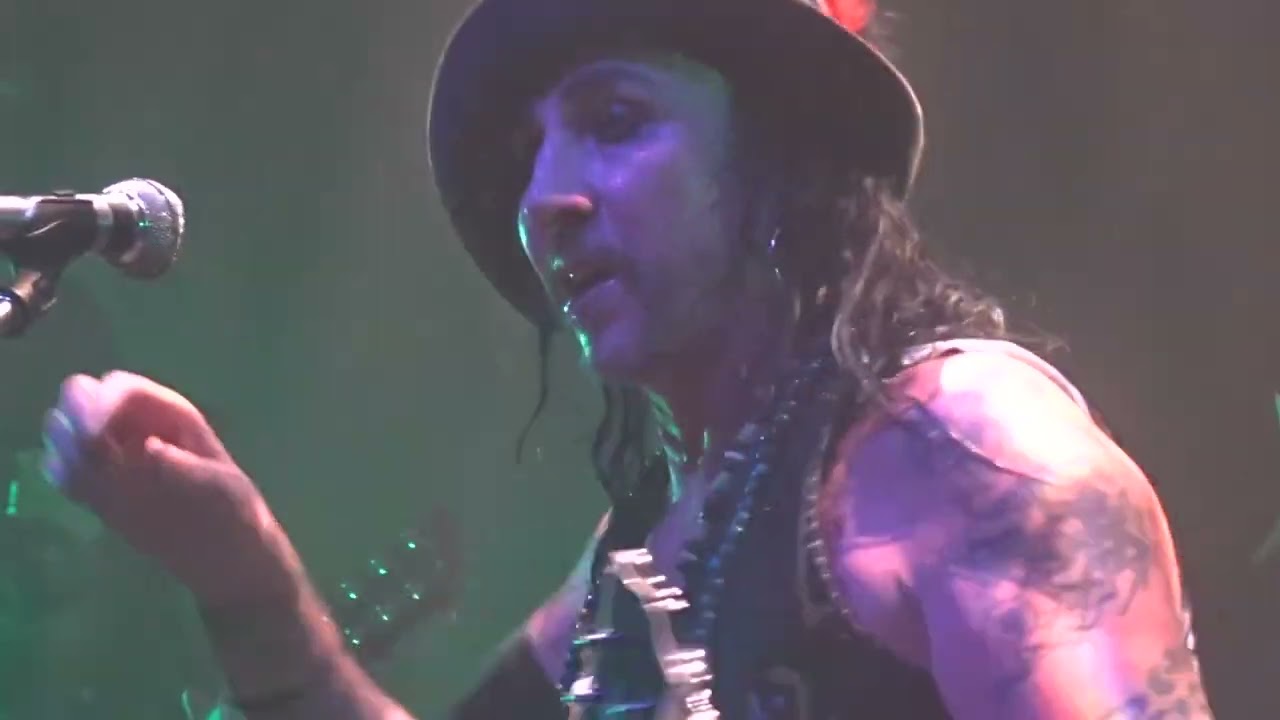 Dregen Pink Hearse Stockholm Biblioteket Live 240211