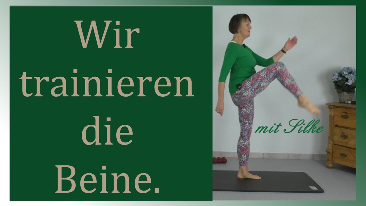 Silke Hönscheid - Straff und mobil | Für Seniors und Anfänger | Im Stand auf kleinem Raum.