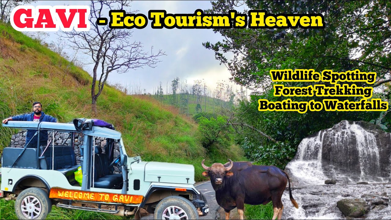 Budget Travel to Gavi | Kerala’s Best-Kept Secret | குறைந்த செலவில் பயணம் செய்யும் வழிகாட்டி