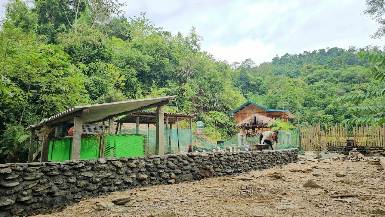 A day of shopping for boys' clothes and building a stone fence | Chuc Thi Hong