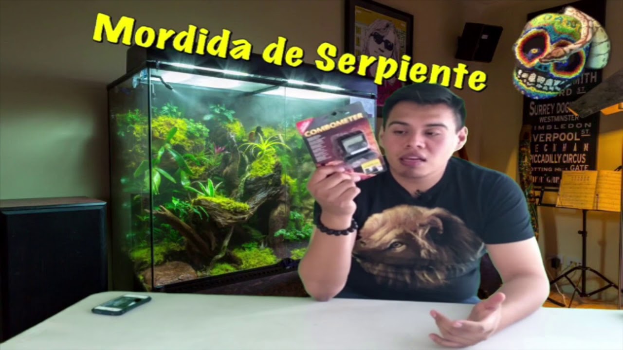 UNBOXING. Termohidrometro de Exo Terra. MORDIDA DE SERPIENTE DE DANIEL