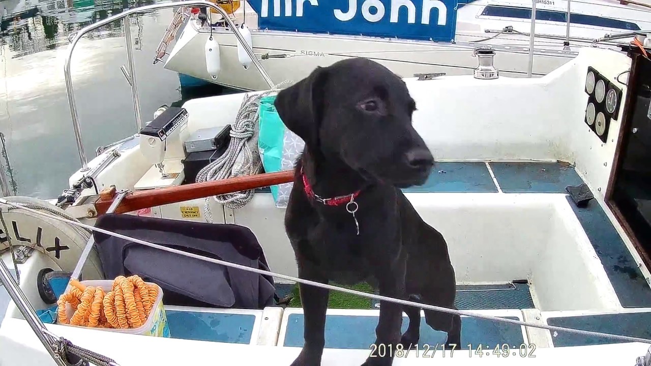 Sailing Serenity - Exterior Tour - Westerly Griffon