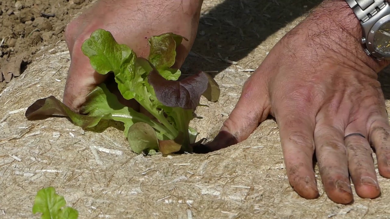 #1 Les tutos d'Herbi - Comment poser la toile de paillage en chanvre naturel pour potager et jardin