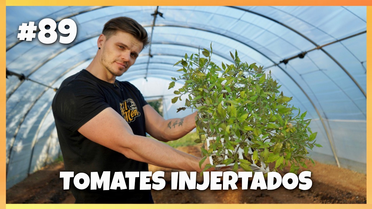 🌱 INJERTOS: más PRODUCCIÓN y RESISTENCIA 📈 #89 | Creando un huerto desde 0