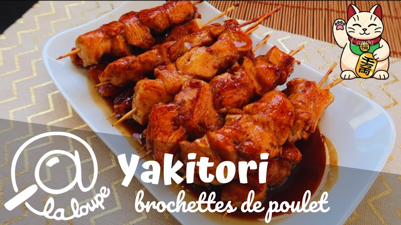 YAKITORI brochettes de poulet asiatique #269