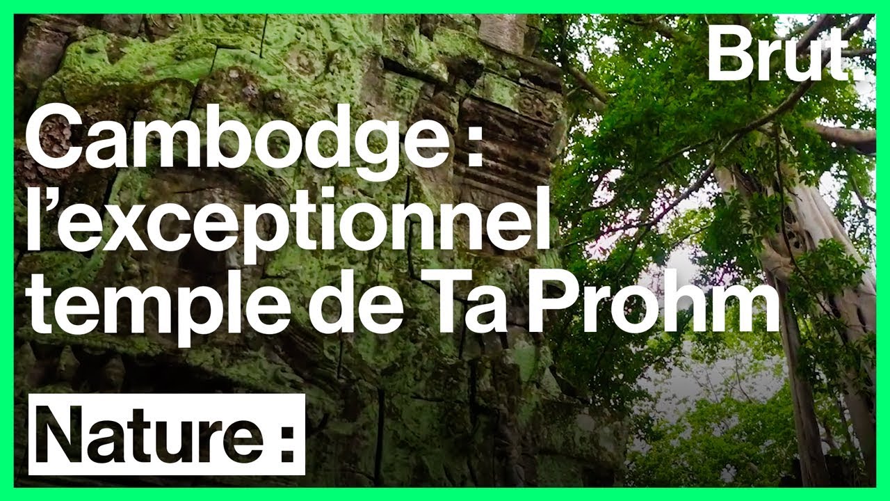 Cambodge : l'atmosph&egrave;re unique du temple de Ta Prohm