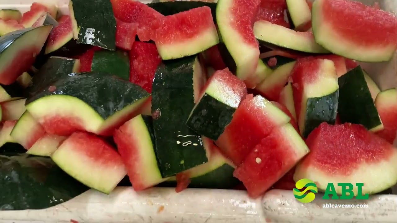 WML5 Watermelon Line (TS-WM Slicer + GTF-WM Chunker)