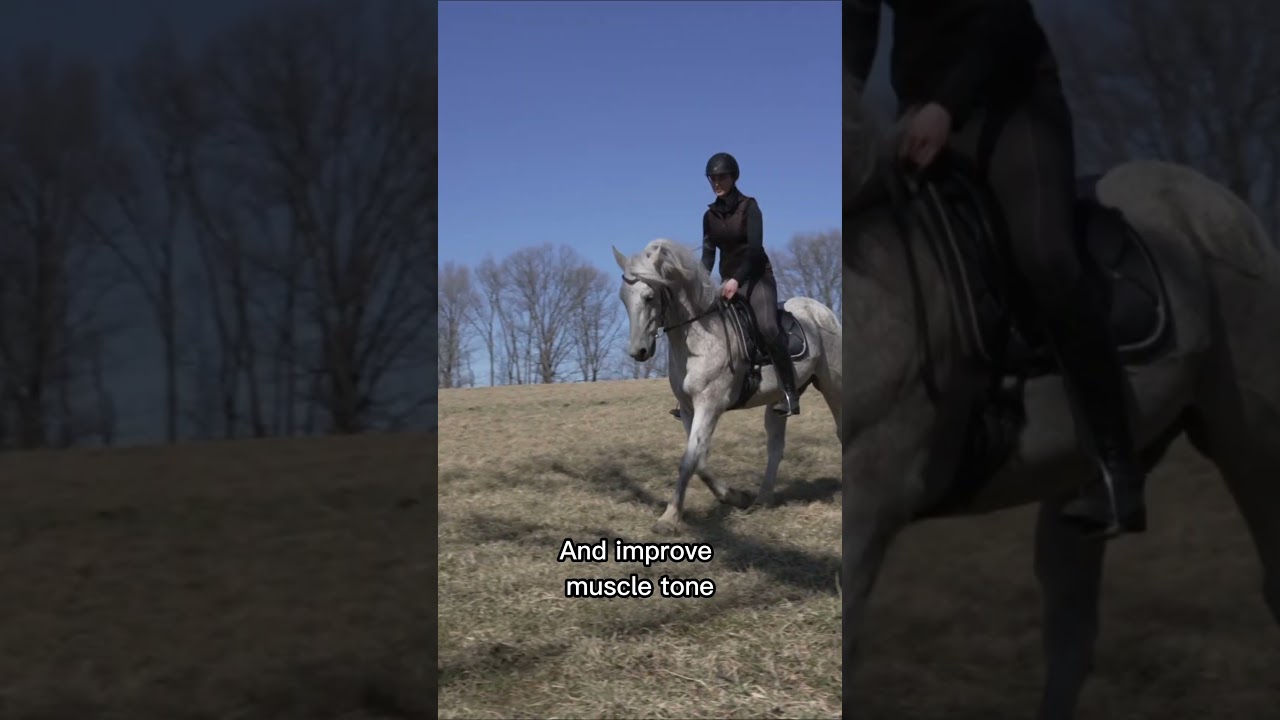 Ways To Build A Horse's Strength