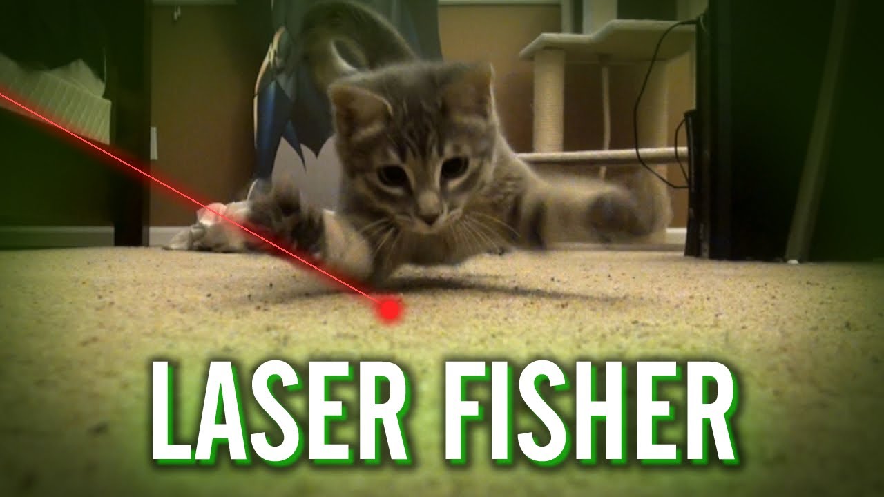 Laser Fisher