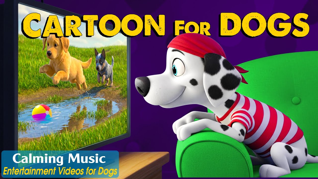 Dog Cartoon: Anti-Anxiety Cartoons for Dogs to Watch Home Alone &ndash; Dog TV & Relaxing Music for Dogs