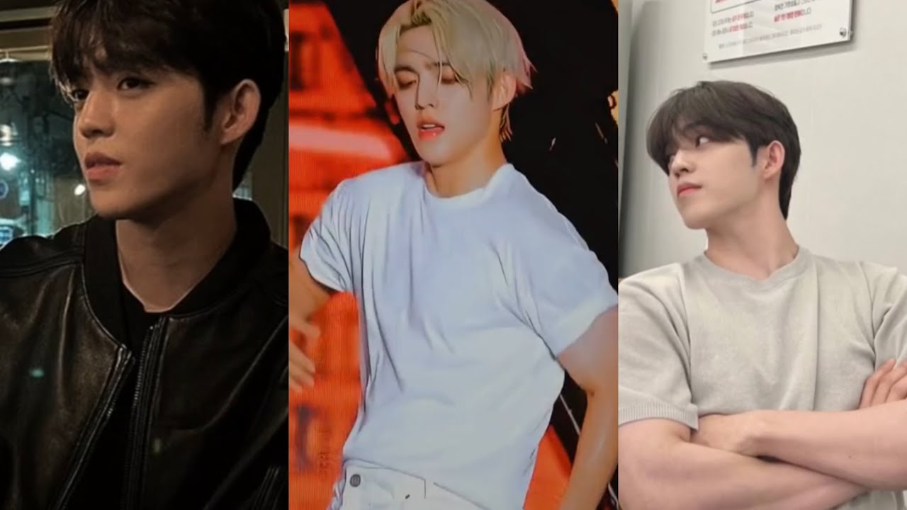 Seventeen S.Coups TikTok edits