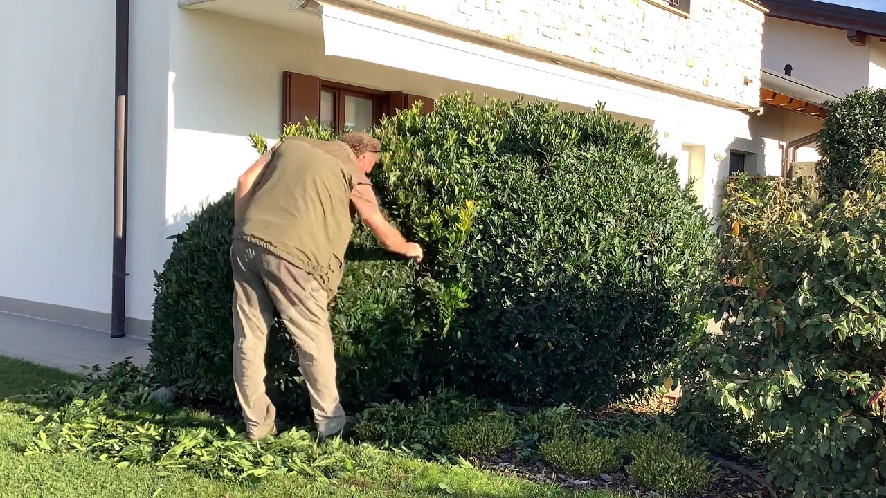 366121 manutentore del verde esercitazione
