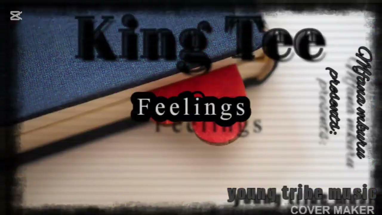 King Tee~Feelings(pro by King tee)❤️
