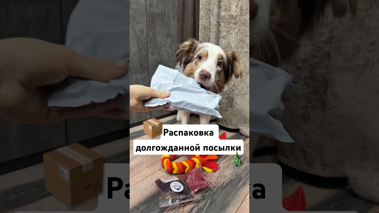 Распаковка долгожданной посылки!📦 