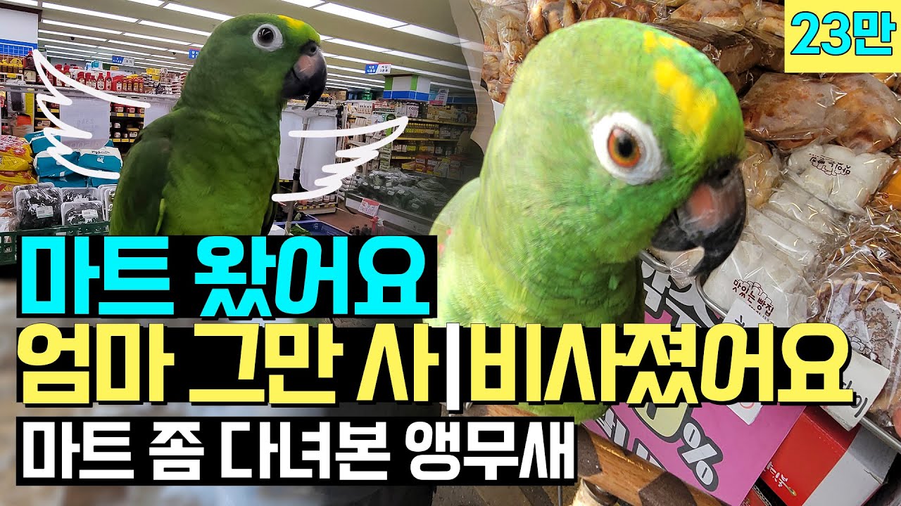마트 좀 다녀 본 앵무새 하나남았어요!🦜🦚👻/엄마 그만사/비싸요/ 다샀어요?? 묻고 3개만 주세요하는 아랑이에요