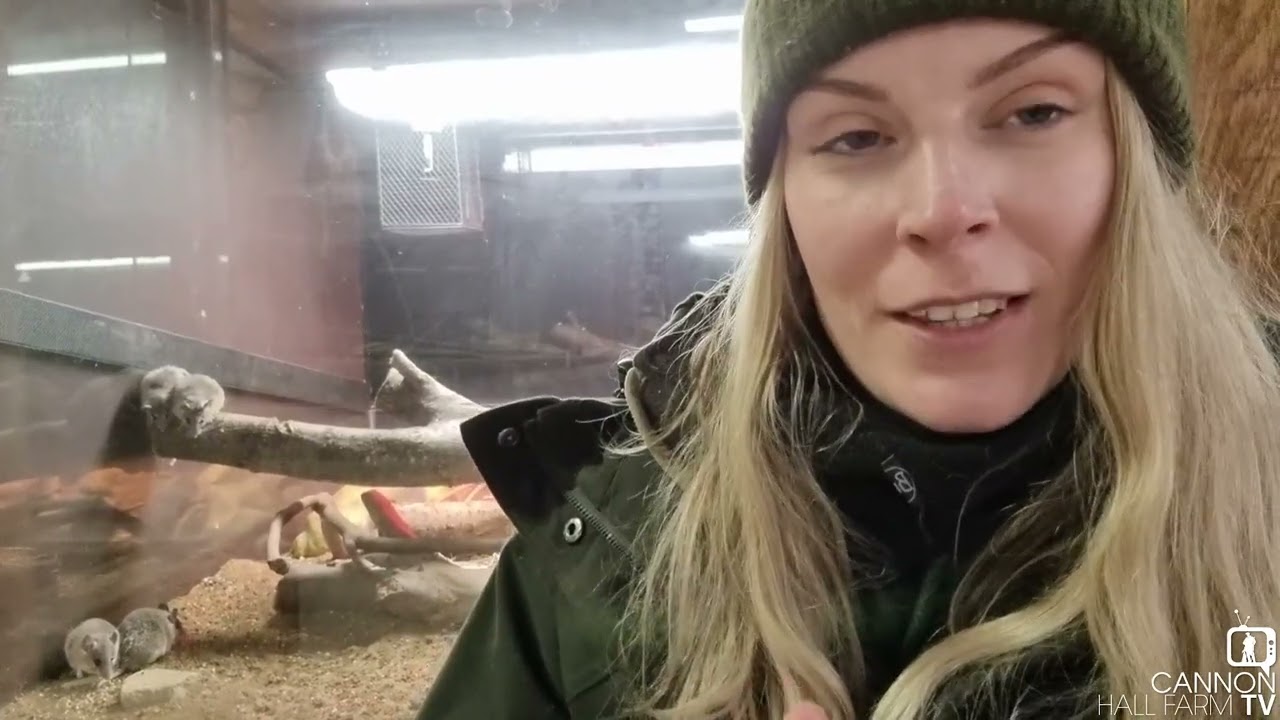 A mammal house update - Cannon Hall Farm