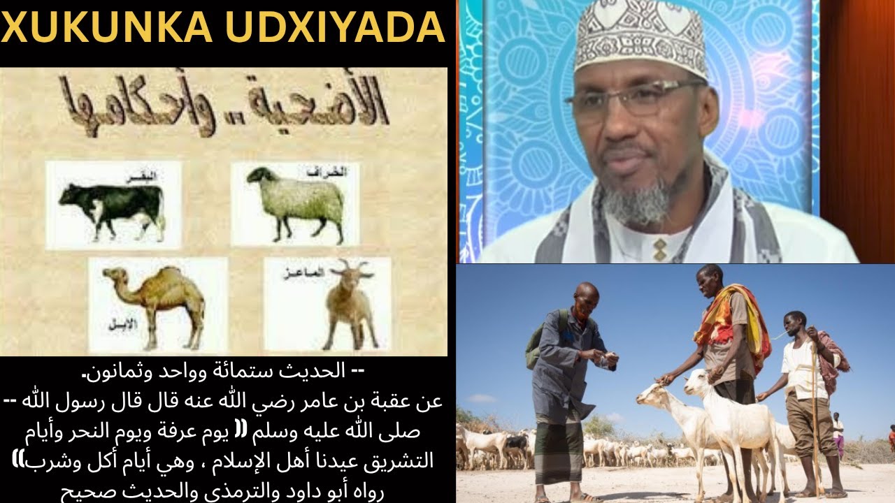 XUKUNKA UDXIYADA