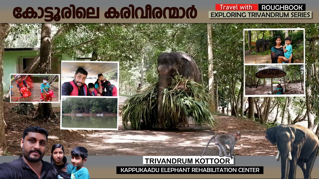 #TRIVANDRUM KOTTUR  ELEPHANT REHABILITATION CENTER |കോട്ടൂരിലെ കരിവീരന്മാർ #THEROUGHBOOKBYJAYADEVAN