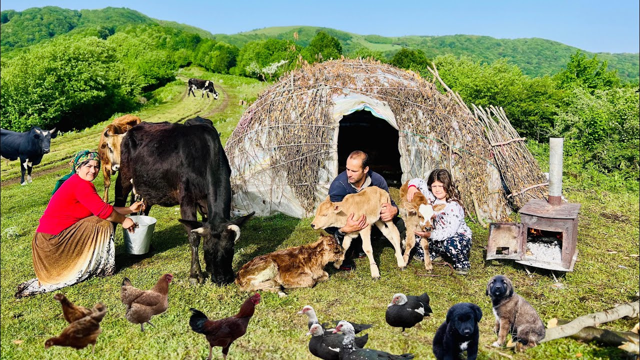 Beautiful Sunrise Morning: Baking Traditional Lavash Bread & Cooking Stuffed Eggplants