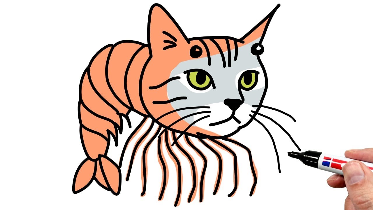 How to Draw Trippi Troppi