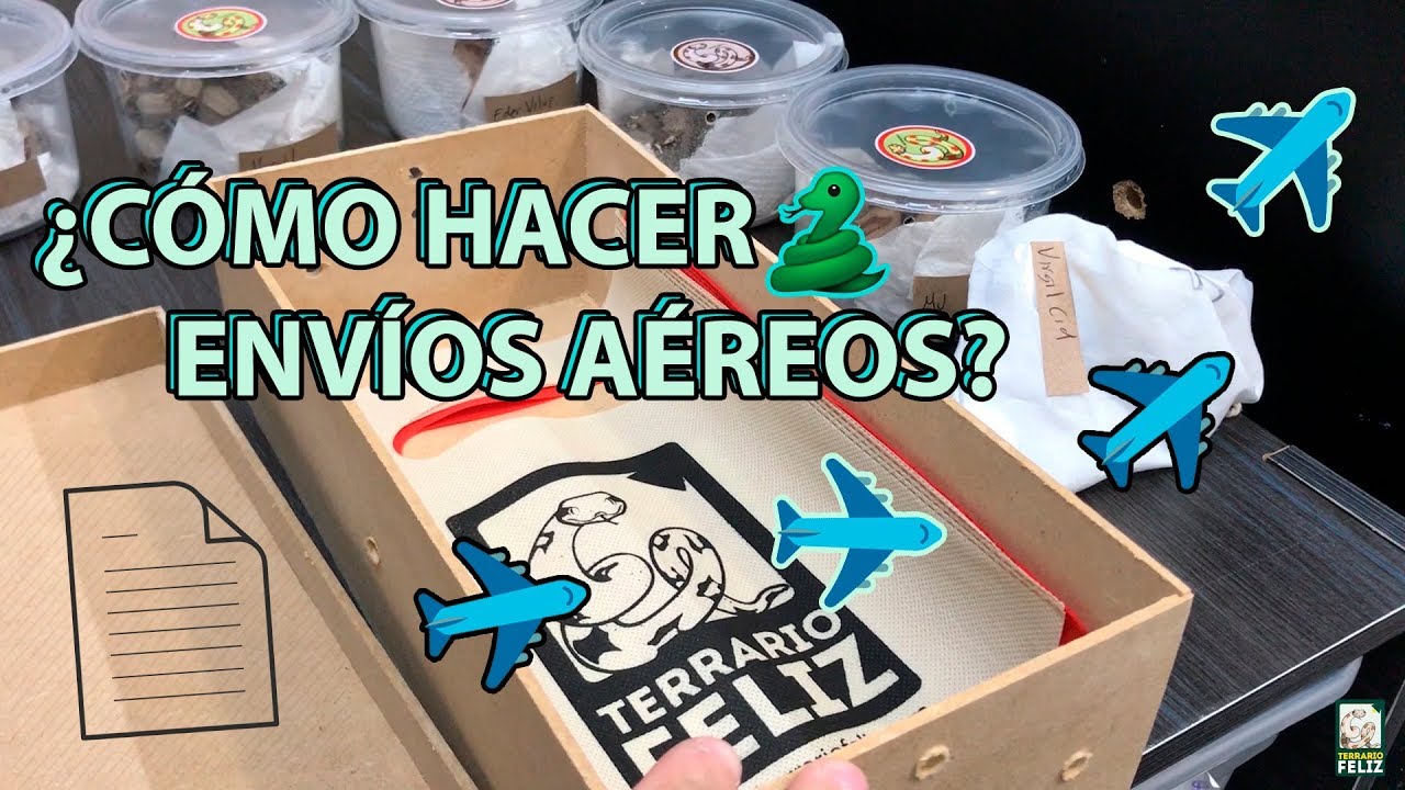 ¡Enviando BOAS por AVIÓN! - El Terrario Feliz