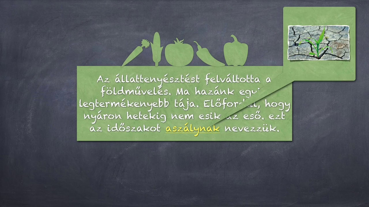 Nagykunság