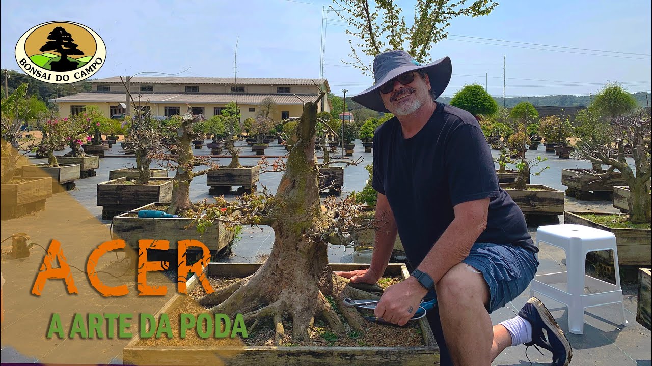 ACER. A Arte da poda.