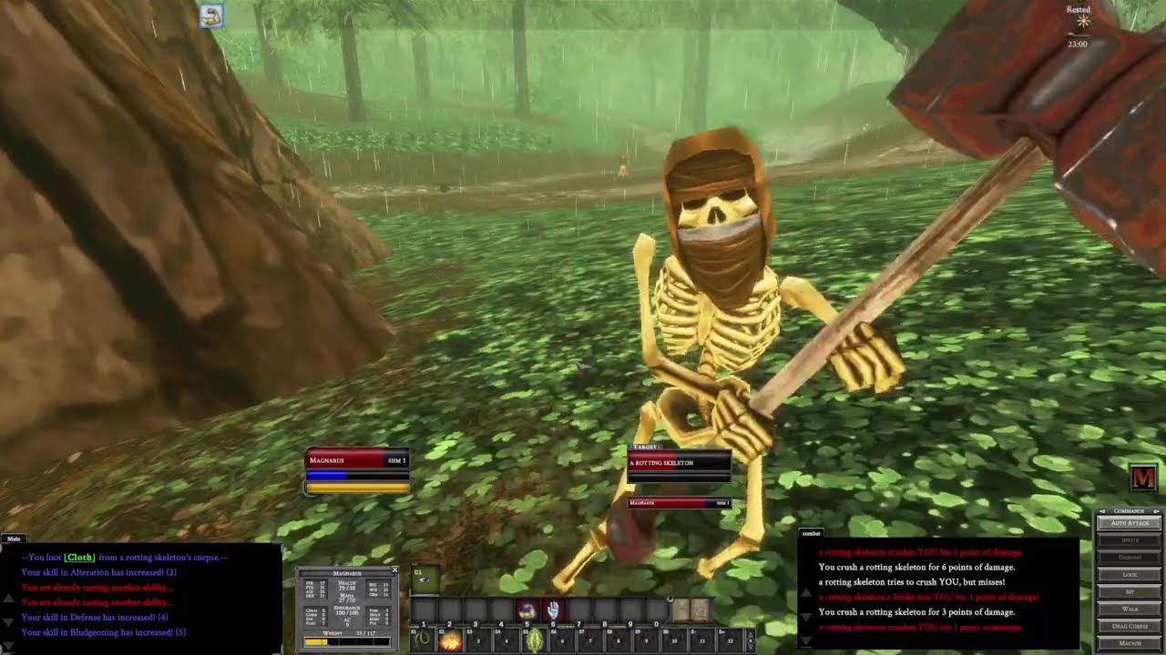 Wood Elf Shaman level 1-Feb 13 Stress Test-Krivea-Monsters and Memories