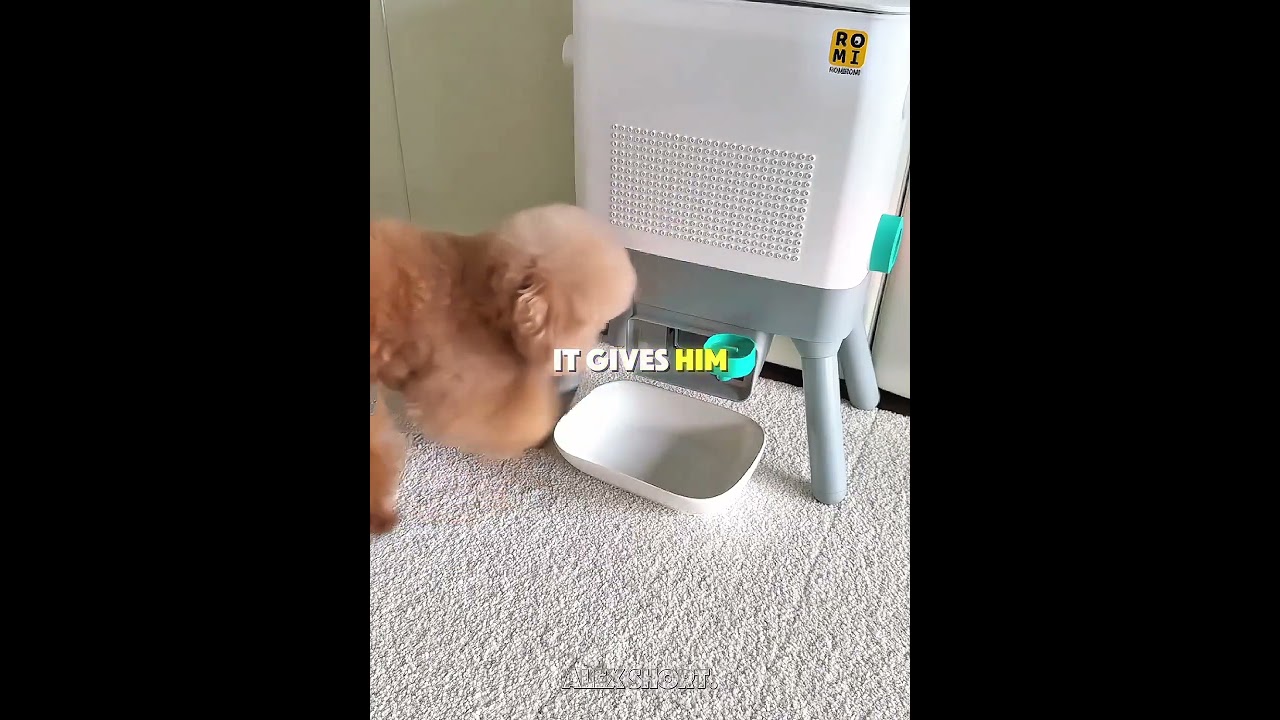 This Smart Puppy Refills His Own Snack Machine! 🐶❤️