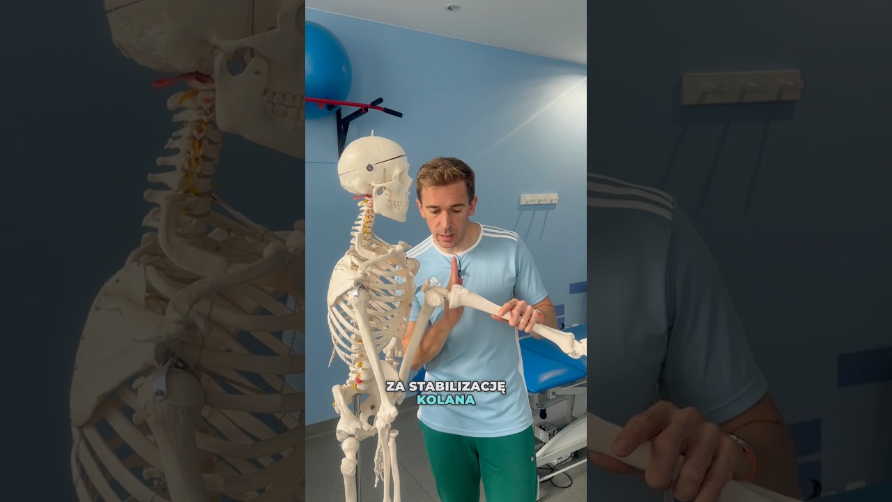 🦵ACL🦵#aclrehab #zerwanieacl #urazkolana #stawkolanowy #kolano #fizjoterapia #ortopedia #gdynia