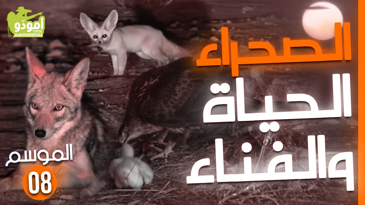 Amouddou TV 120 Le desert vivant أمودّو / الصحراء، الحياة والفناء