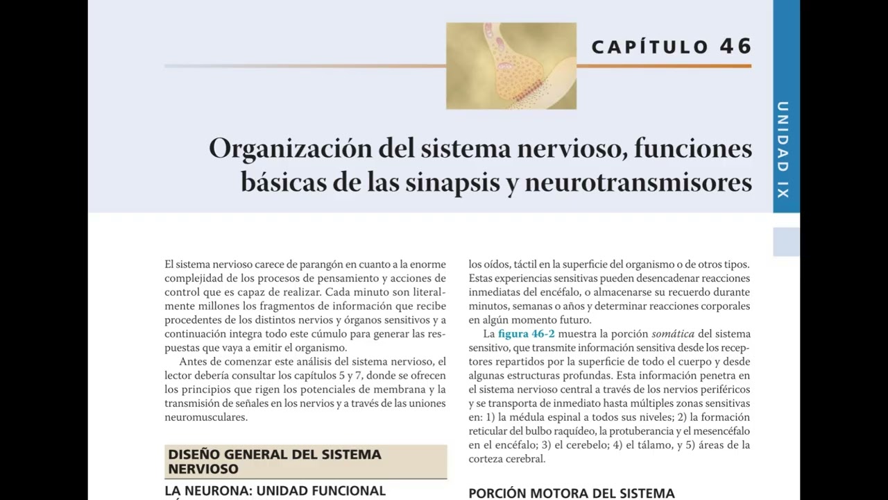 Podcast: Resumen Cap&iacute;tulo 46 &ndash; Sistema Nervioso, Sinapsis y Neurotransmisores | Guyton 14&ordf; Ed.