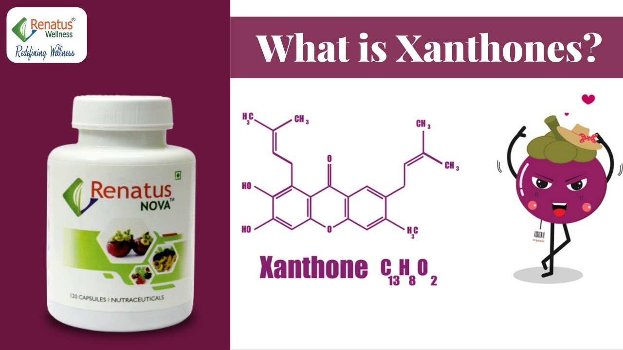 What is Xanthones? | Benefits of Mangosteen | Renatus Nova