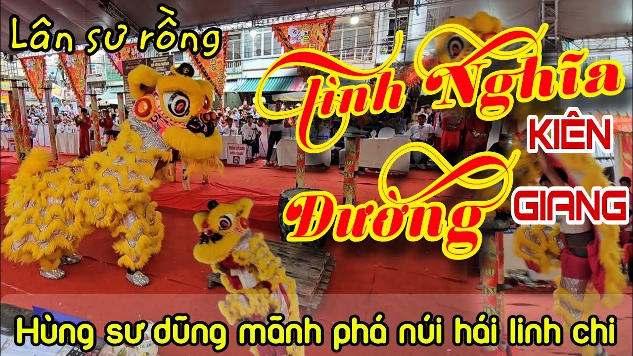 Lân sư rồng Tình Nghĩa Đường tranh cup Đỗ Công Tường lần 2 Cao Lãnh Đồng Tháp 2024