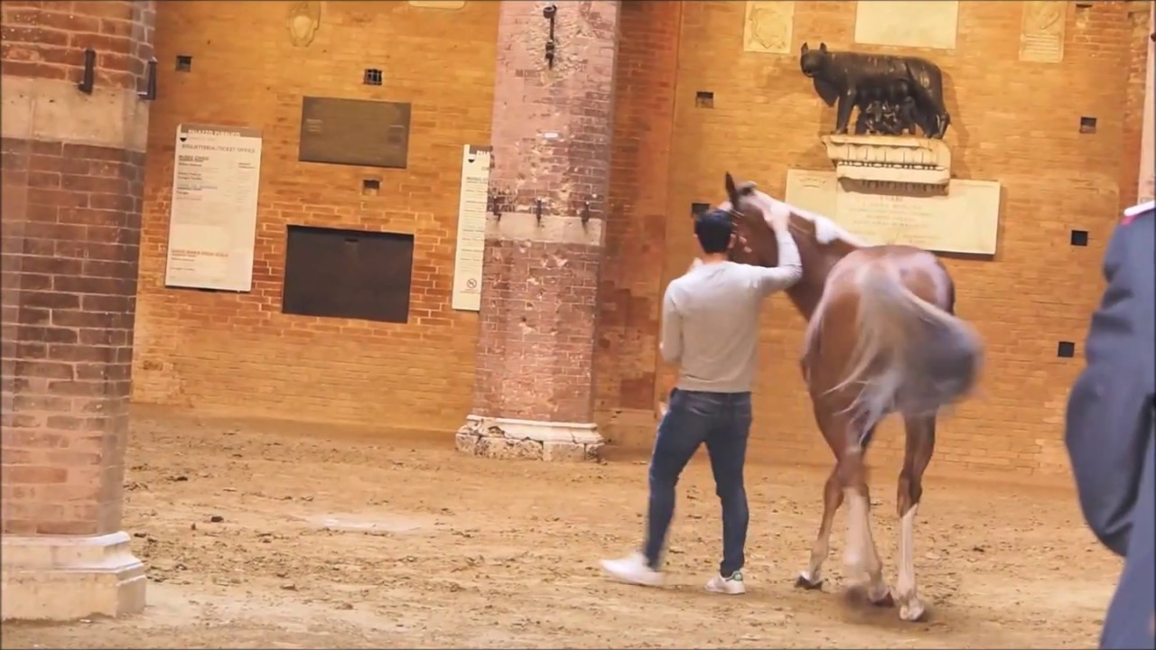 PALIO STRAORDINARIO 2018. ROMBO DE SEDINI E CARLO SANNA PER LA SELVA.