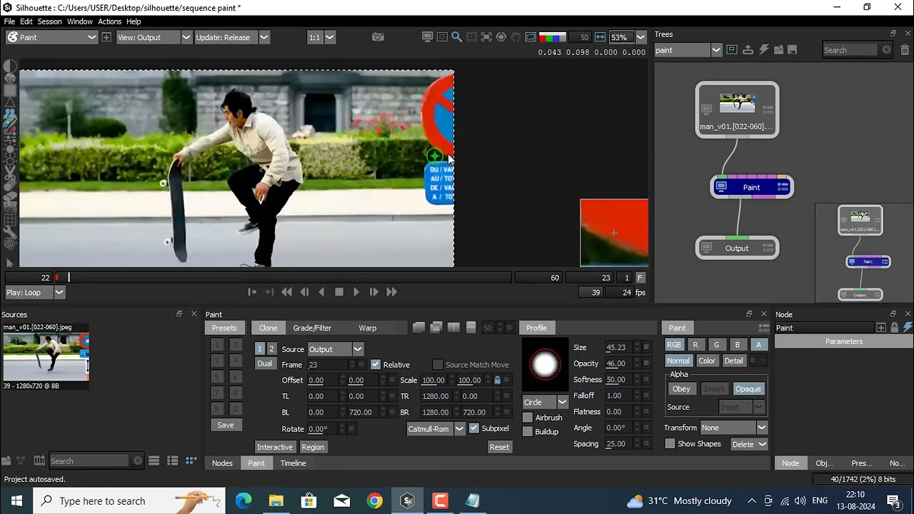 Sequence Paint In Silhouette Software - Frame By Frame Cleanup | Silhuette Software Tutorial
