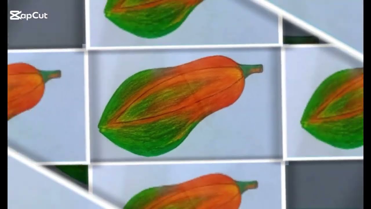How to Draw a Papaya Step by Step | Easy Papaya Drawing for Beginners