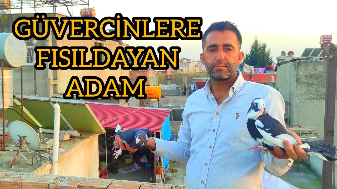 Kuşçu Ömer - GÜVERCİN SEYİSİ KUŞLARA FISILDAYAN ADAM ( Namı Değer 40'Lık )