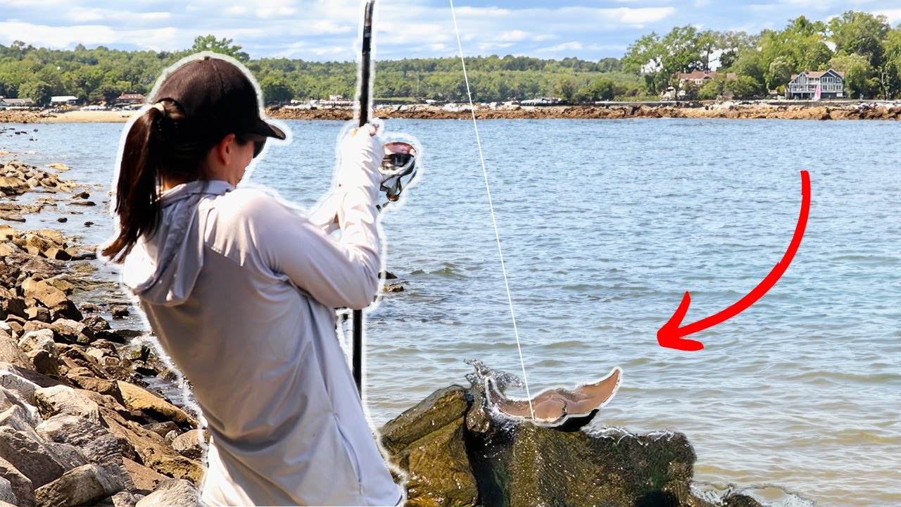 This Chesapeake Bay Fish Strength will Surprise You!