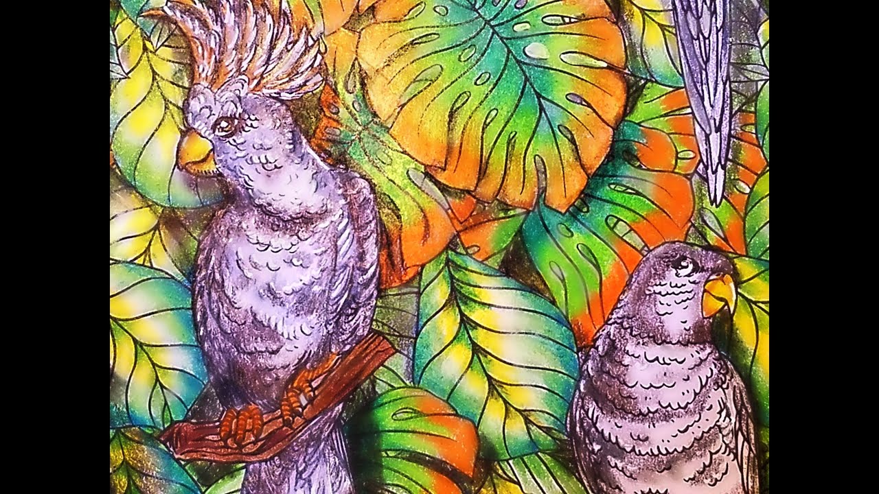 Adult Coloring : Leaves And Birds